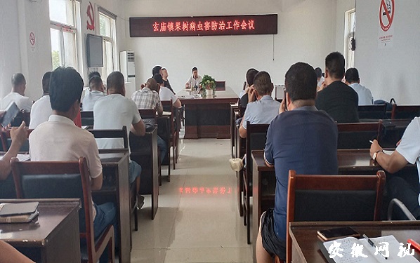 下载.jpg