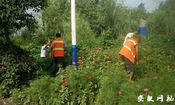 QQ图片20200813180226.jpg