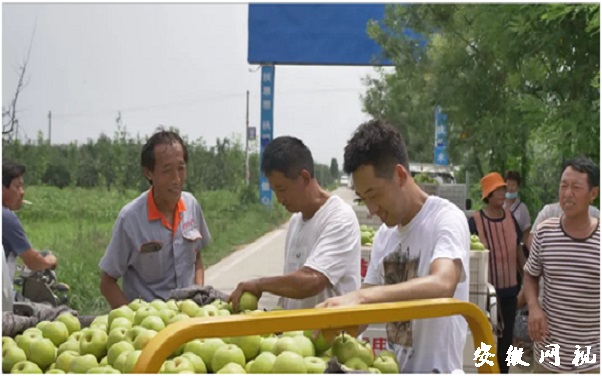QQ图片20200818194454.jpg
