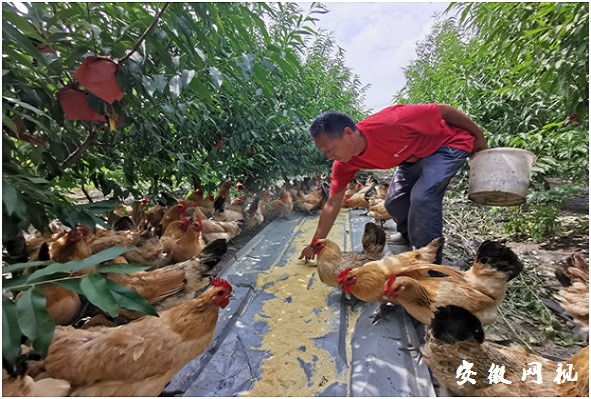 QQ图片20200820115710.jpg