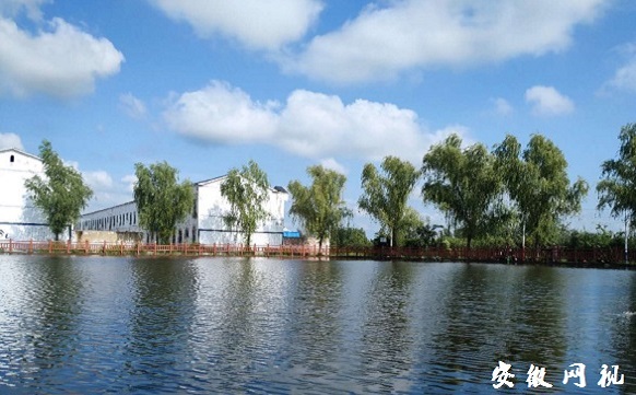 QQ图片20200820191953.jpg