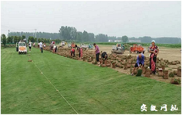 QQ图片20200825154009.jpg
