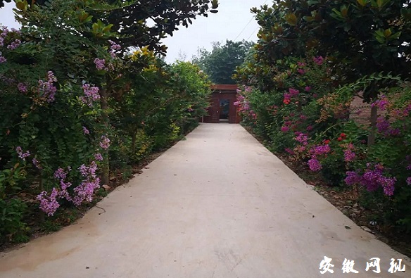 下载.jpg