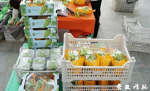 微信图片_20200911112546.jpg