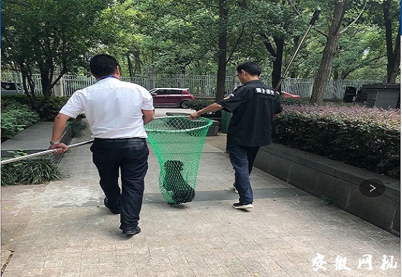 QQ图片20200915110314.jpg