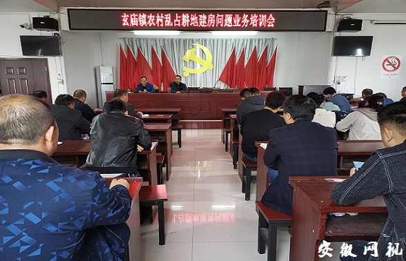 QQ图片20201011183759.jpg