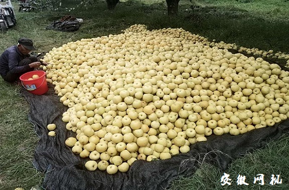 微信图片_20201014090113.jpg