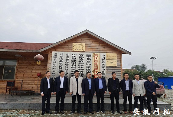 下载.jpg