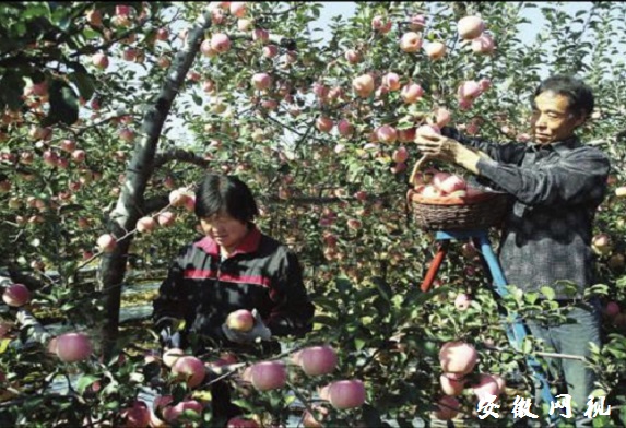 图片1.jpg
