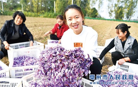 20201102c9796c4378ed4a85969ea9bfb85ba2a5_l.jpg