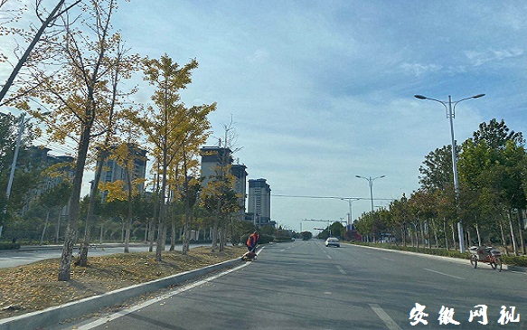 QQ图片20201104151410.jpg