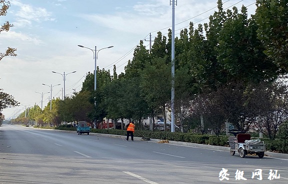 QQ图片20201105170325.jpg