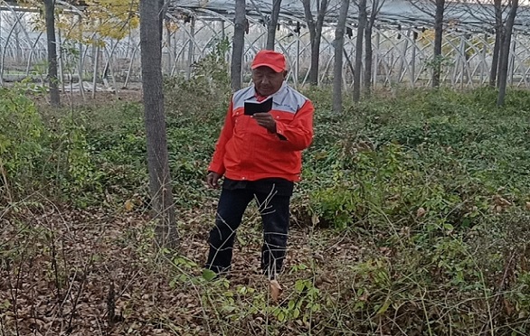 QQ图片20201113153416.jpg