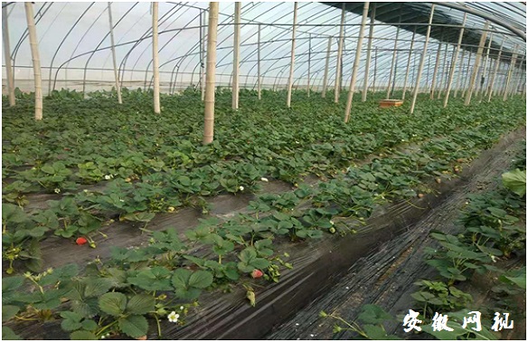 QQ图片20201211111033.jpg