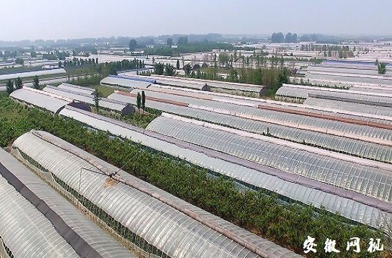 QQ图片20201229085917.jpg