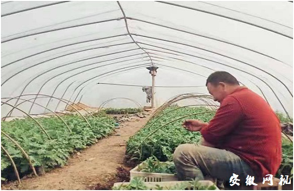 QQ图片20201231163226.jpg