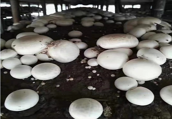 QQ图片20210302184822.jpg
