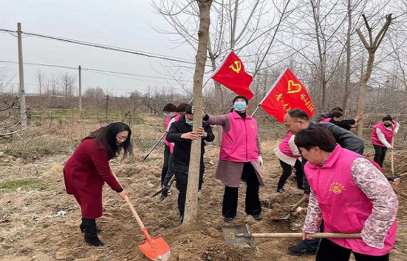 QQ图片20210308114130.jpg