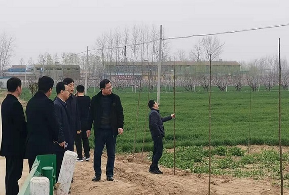 QQ图片20210310080017.jpg