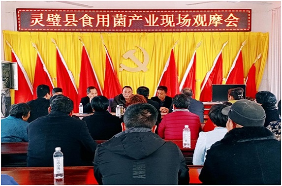 QQ图片20210317111126.jpg