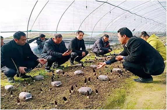 QQ图片20210317111143.jpg