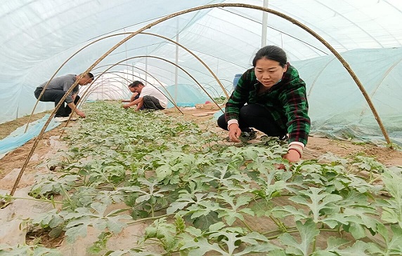 QQ图片20210318091438.jpg