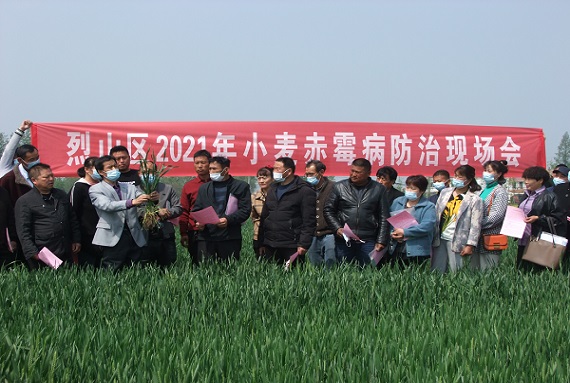 附件3：4月15日，室内培训结束后，农业专家又来到半峭社区科技示范田现场讲解赤霉病防控技术.JPG