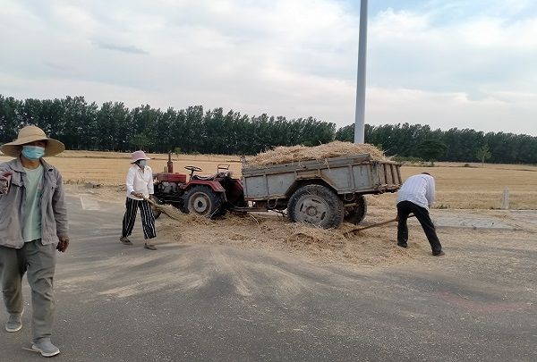 附件1：古饶镇土山社区组织居民清理路边秸秆.jpg